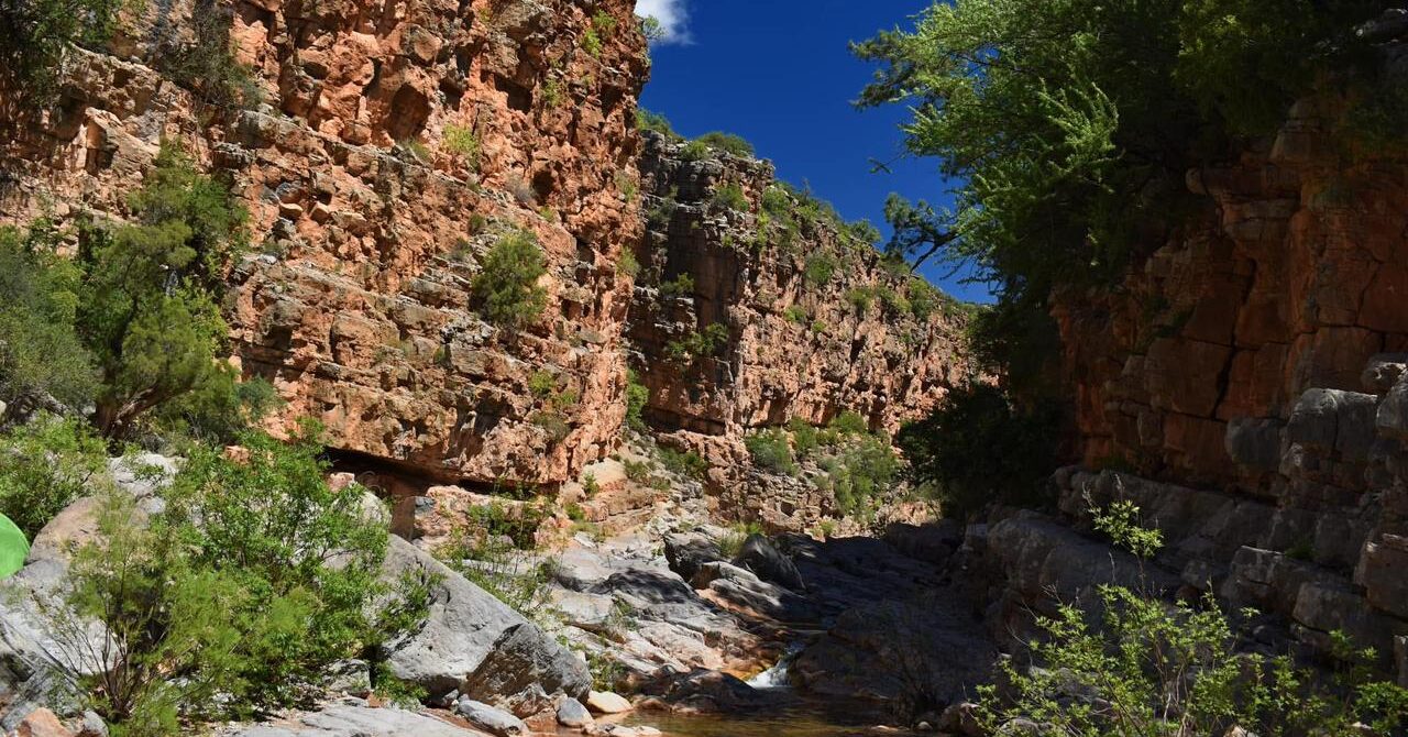 Paradise Valley